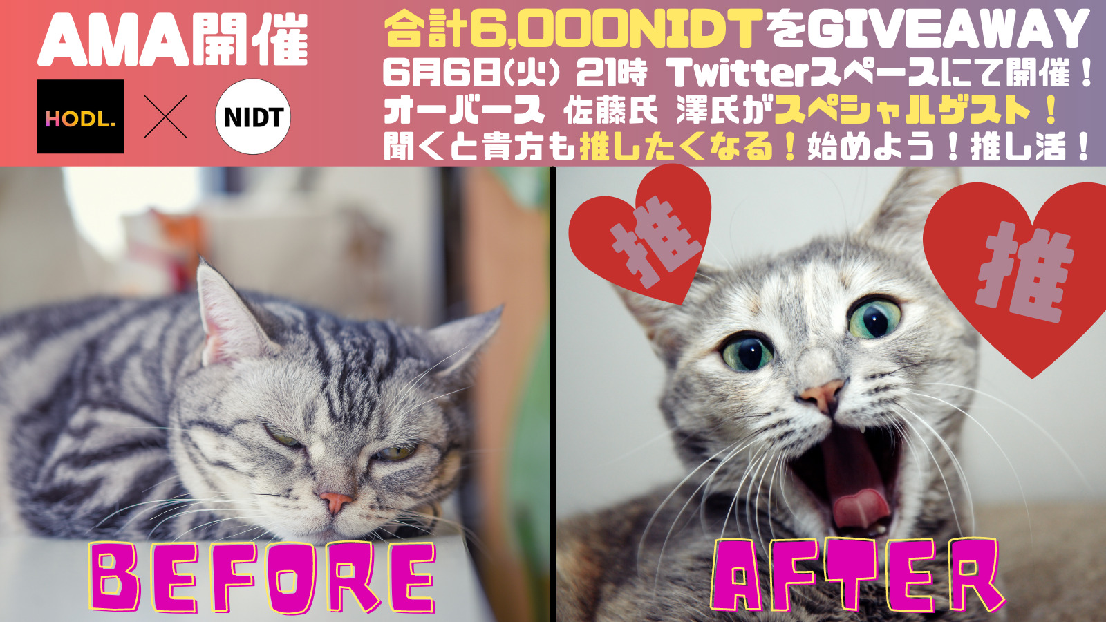 HODLer会 × NIDT AMA(2023年6月6日)文字起こし